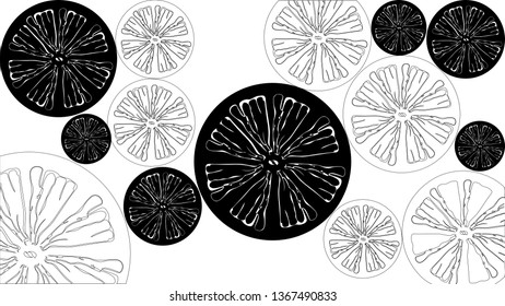 Black and white citrus.Collection of citrus slices - orange, lemon, lime and grapefruit, icons set, black isolated on white background, vector illustration