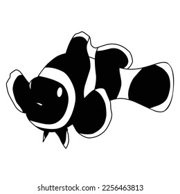 black and white clown fish vector set isolated on white. fish, clown fish, nemo, coral, reef, tropical, aquarium, pet, seafood, flat, simple, white, black, vector illustration.