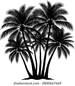 Black and white of a cluster of tropical palm trees with long fronds
