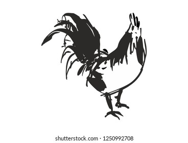 Black white cock drawn line by hand for decorative work on white background