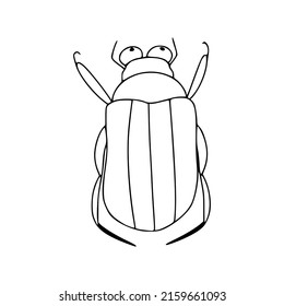 Black and white cockchafer in linear style. Vector illustration isolated on white background