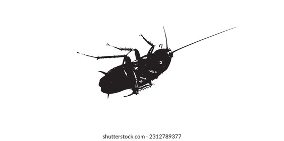 Black and white cockroach vector illustration lying dead on black background.