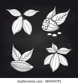 Black and white cocoa beans with leaves on blackboard background. Vector cocoa stickers design