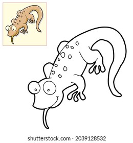 black white and color lizard vector image