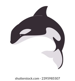 black and white color orca big animal marine mammal large predator killer wild nature ocean