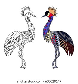 Black and white and colored cranes. Collection of two cranes in doodle style. Hand drawn animal for adult coloring page. Vector illustration. 