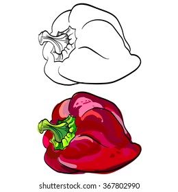 black and white and colored sketched sweet yellow pepper