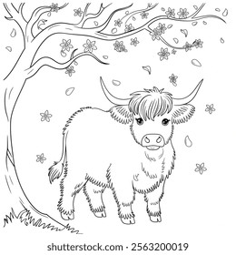 A black and white coloring book line art of a simple baby Highland cow standing under a tree with blossoms falling around it 