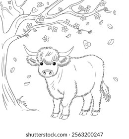  A black and white coloring book line art of a simple baby Highland cow standing 