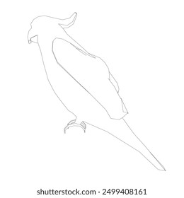 Black and white coloring page. Animals parrot icon. Vector stock illustration. Parrot macaw vector icon. Wild bird illustration.