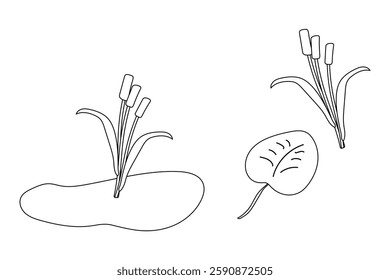 Black and white coloring page featuring cattail plants, a lily pad, and a pond in a simple nature-themed design.