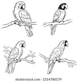 Black and white coloring pages Animals for kids, simple lines, vector , cute Animals, easy coloring pages, for kids , thick lines, low detail, outline