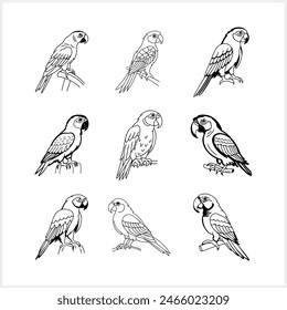 Black and white coloring pages Animals parrot icon T-shirt print, tattoo design Vector stock illustration EPS 10