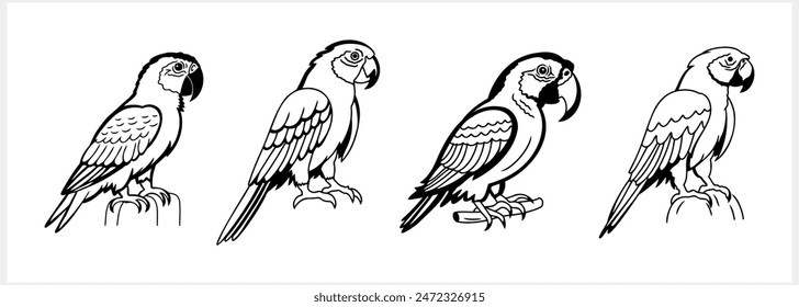 Dibujos para colorear en blanco y negro Animales Icono de loro Vector Ilustración de stock EPS 10