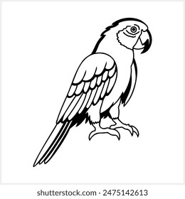 Black and white coloring pages Animals parrot icon Vector stock illustration EPS 10