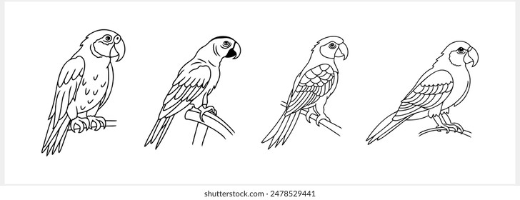 Black and white coloring pages Animals parrot icon Vector stock illustration EPS 10