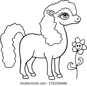 black and white coloring set with pony horse and flowers vector image