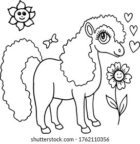 black and white coloring set with pony horse and flowers vector image