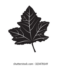 Black and white colors leaf. Realistic shape leaf isolated on white background. Vector silhouette leaf. Vector single leaf icon, symbol. Natural, floral, tree, botany background