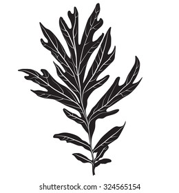 Black and white colors leaf. Realistic shape leaf isolated on white background. Vector silhouette leaf. Vector single leaf icon, symbol. Natural, floral, tree, botany background