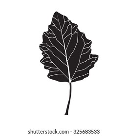 Black and white colors leaf. Realistic shape leaf isolated on white background. Vector silhouette leaf. Vector single leaf icon, symbol. Natural, floral, tree, botany background