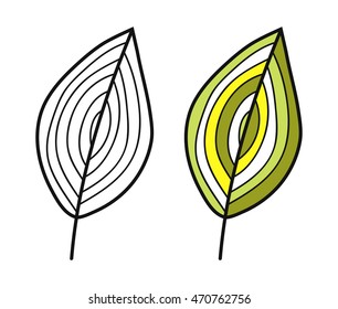 Black and white, coloured leaf for coloring book. Floral object.