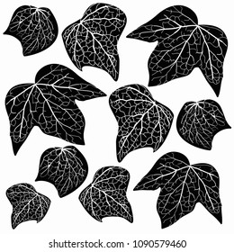 Black and white composition of leaves. For the background. For the fabric. For Design