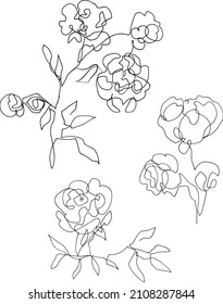 black and white continuous one line flower drawing. peony flower. rose flower drawing. outline vector flower set.