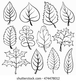 Black and white contour of different leaves. Collection of vector foliate details for your design or coloring book.