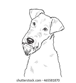Black and white contour illustration head portrait of one beautiful irish terrier dog