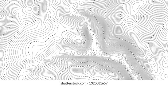 black and white contour topographic map