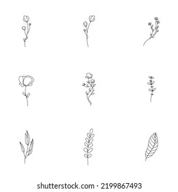 Flores simples, minimalistas y elegantes, de color blanco y negro