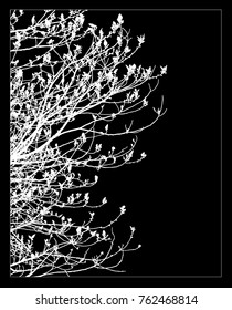 Black and white contours of tree branches with young leaves in spring. Black background.