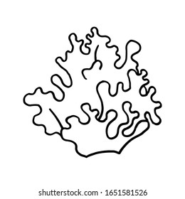 Black and white coral doodle sketch. Vector illustration for coloring book, card, banner and design. Underwater plants and animals.