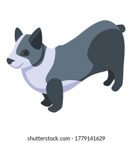 Black white corgi dog icon. Isometric of black white corgi dog vector icon for web design isolated on white background