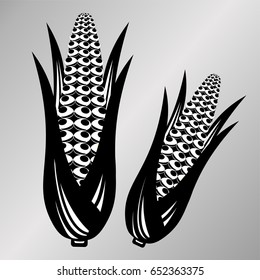 Black and white corn on the cobs vector illustration