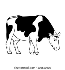 Black and white cow design