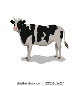 diseño de vaca blanco y negro. ilustración vectorial