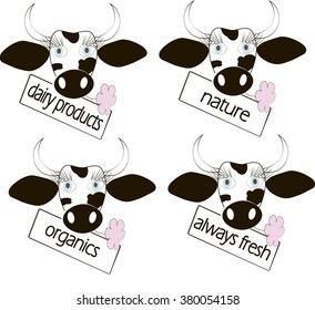 Black and white cow head, blue eyes, pink flower, table labeled Dairy products, Always fresh, Organic, Natural on white, vector 