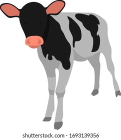 Black and white cow, illustration, vector on white background