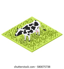 Black and white cow. Isometric view. Cattle grazing in a meadow in the village. Countryside farm. Moo animal. The source of milk. Vector illustration.