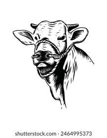 Black and white cow line art image for farm logo and vintage and retro theme design