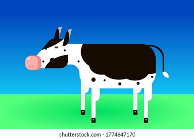 Black and white cow on a grassfield