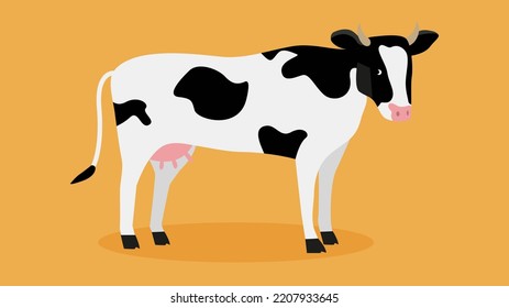 black and white cow on a yellow background