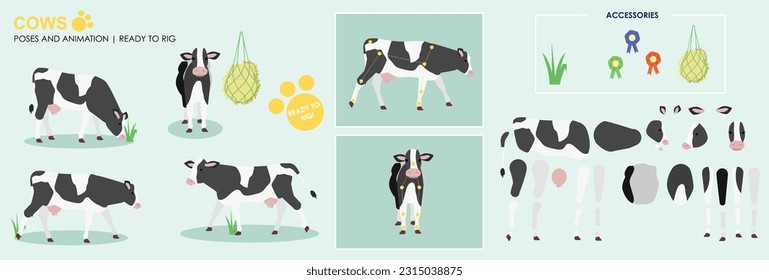 Black and white cow ready to animate with multiple poses accessories. Vector file labeled ready to rig. milking cow, cow walking, standing, front, side views