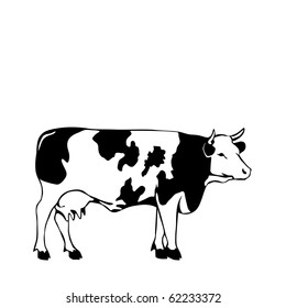 black and white cow vector illustrator