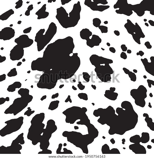 Black and White Cowhide Design. Cow Pattern\
with Spots, Vector\
Illustration