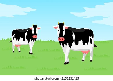 Black and white cows in a grassy field. Vector illustration in cartoon flat design style