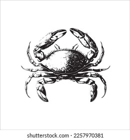 Black and White Crab Vector