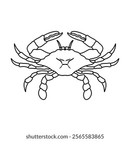 black and white crab vector illustration. seafood and fish. Stone crab flat, sea crab silhouette vector graphics.